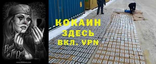 скорость Каменка