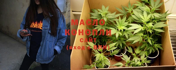 скорость Каменка