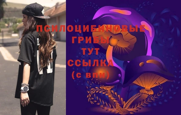 скорость Каменка