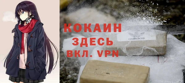 скорость Каменка