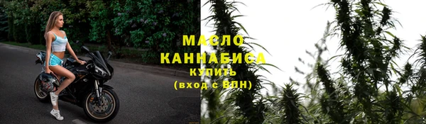 скорость Каменка
