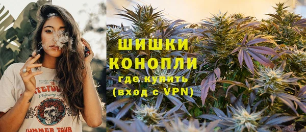 ешки Каменногорск