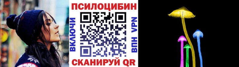 Галлюциногенные грибы Psilocybe  Купить  Камешково 